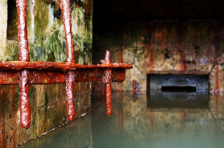 Water architecture wood france Photo