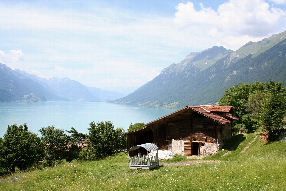 Paysage eau nature marche