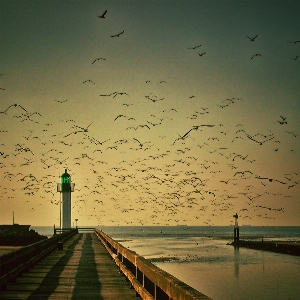 Sea coast water ocean Photo