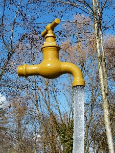 Foto Albero acqua inverno monumento