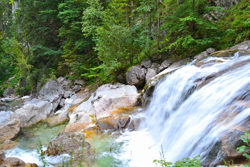 Agua bosque cascada arroyo
