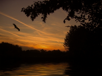 Landscape nature bird cloud Photo