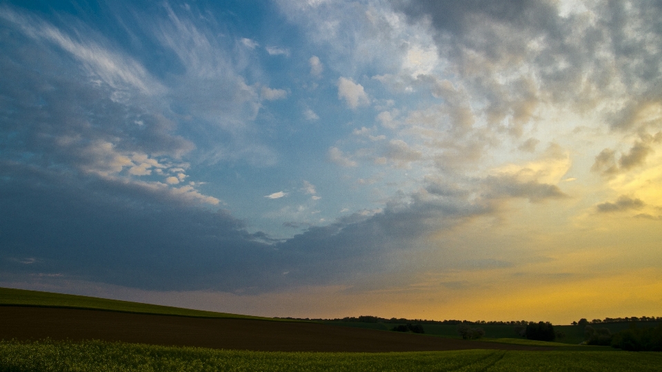 Paisagem natureza grama horizonte