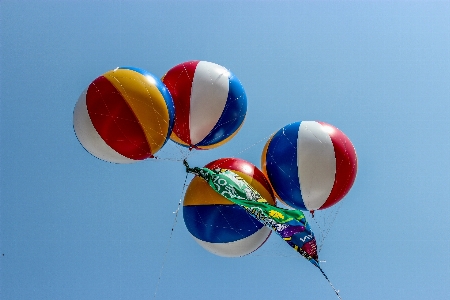 Sky air flower balloon Photo