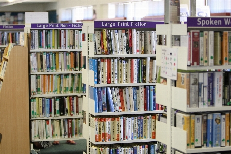 Foto Livro prédio leitura coleção