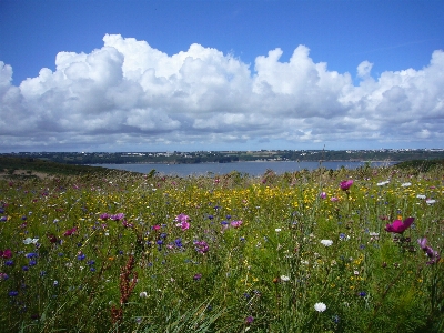 Landscape sea coast nature Photo