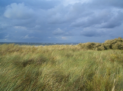 Landscape sea coast water Photo