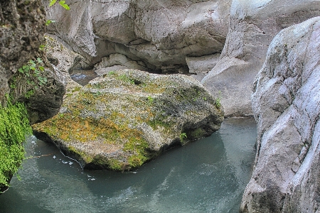 Ağaç su doğa rock Fotoğraf