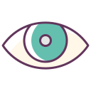 Eye Icon