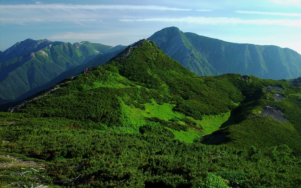 пейзаж природа лес пустыня
