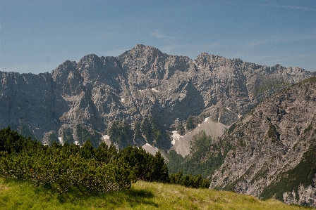 Landscape nature forest wilderness Photo