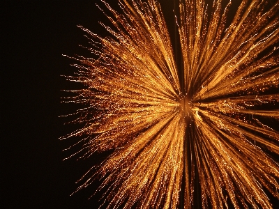 Recreation sparkler pyrotechnics explosion Photo