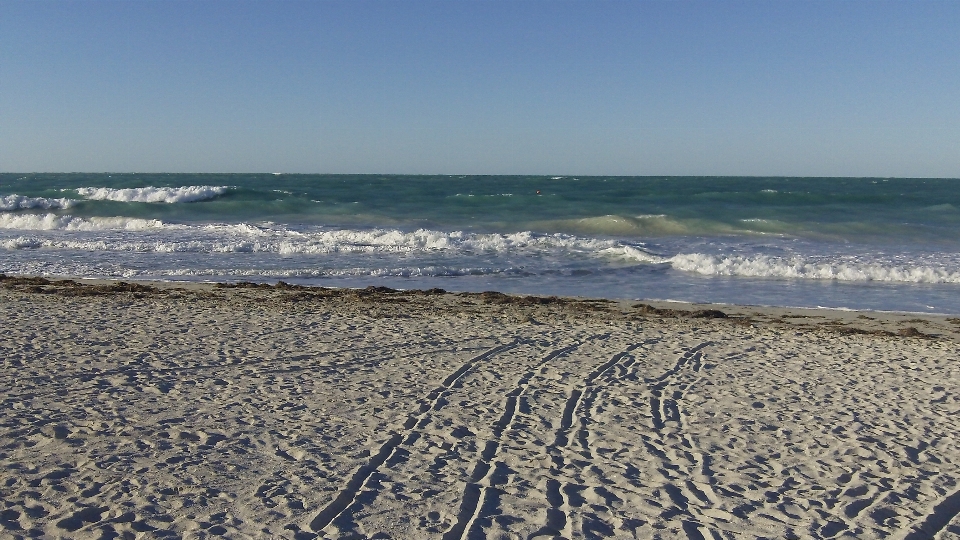 Plage paysage mer côte