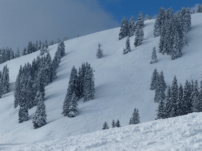 Landscape mountain snow cold Photo