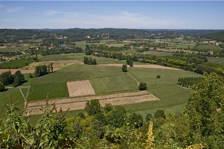 Landscape nature forest structure Photo