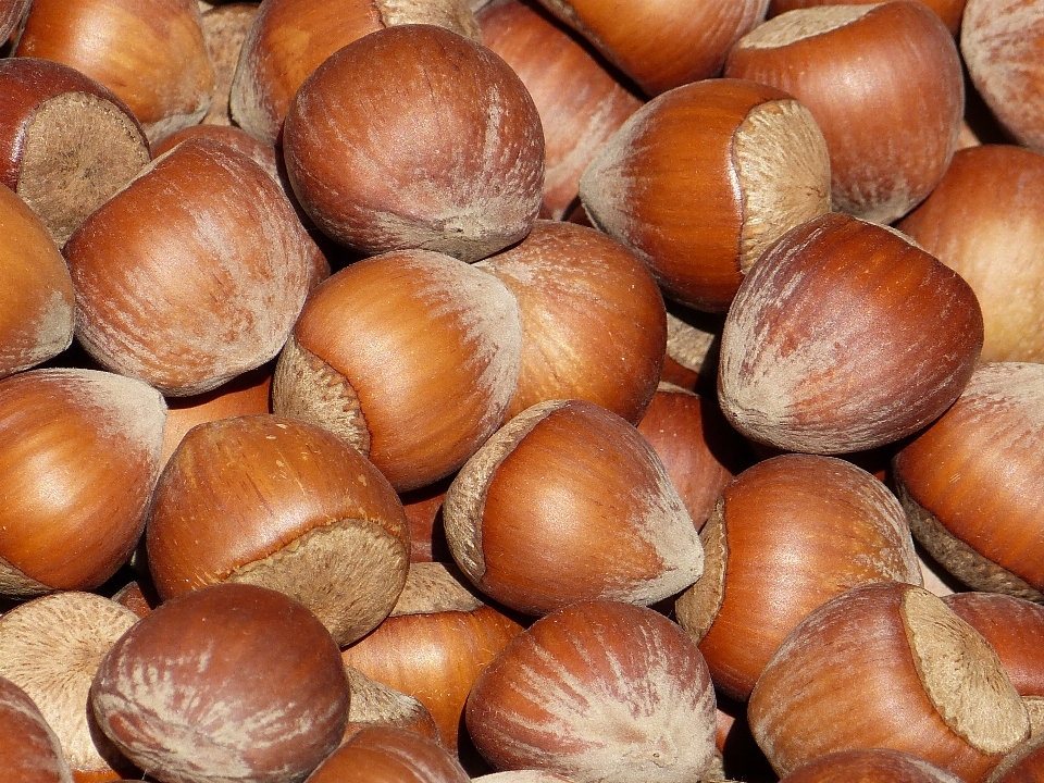 Bois nourriture produire légume