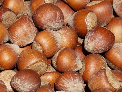 木 食べ物 生産 野菜 写真