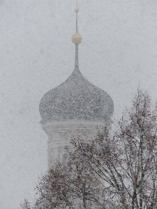 Zweig schnee kalt winter Foto