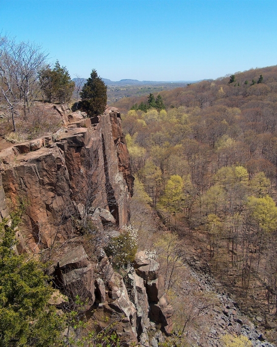 Paisagem natureza floresta rock