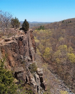 Landscape nature forest rock Photo