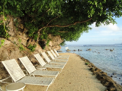 Foto Spiaggia mare costa albero