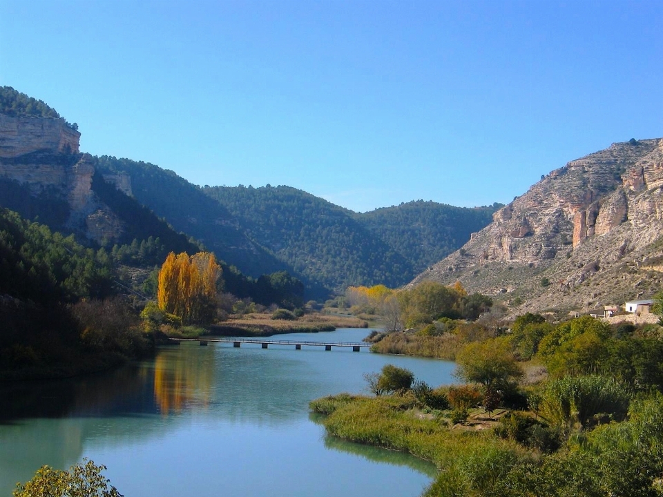 Paesaggio acqua natura foresta