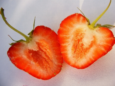 Plant photography fruit berry Photo