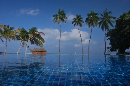 Beach sea water ocean Photo