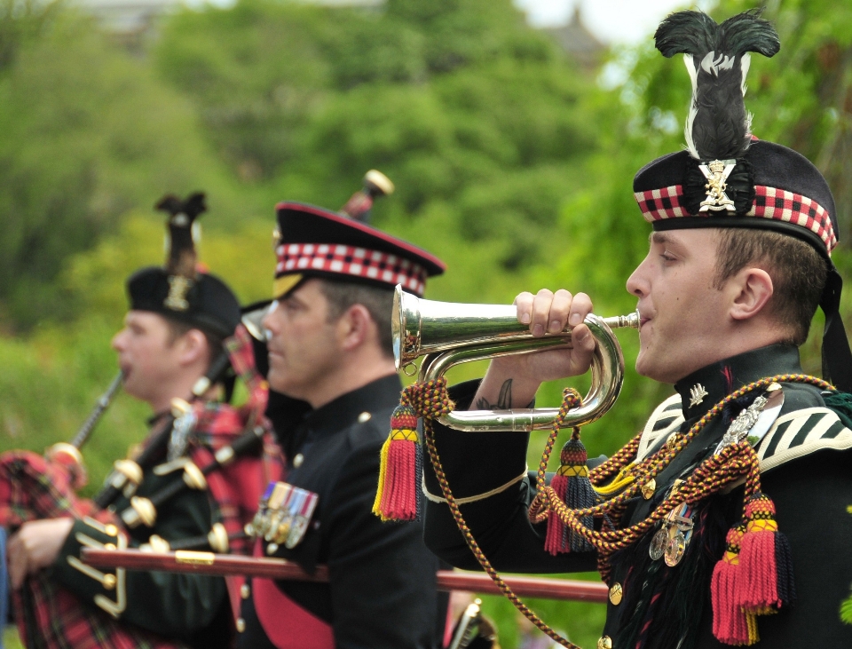 Nature military band soldier