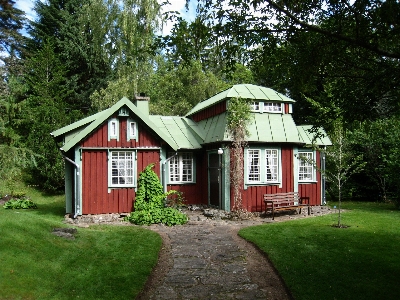 Baum gras bauernhof haus Foto