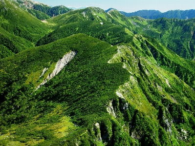 Landscape nature forest grass Photo