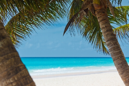 Beach landscape sea coast Photo