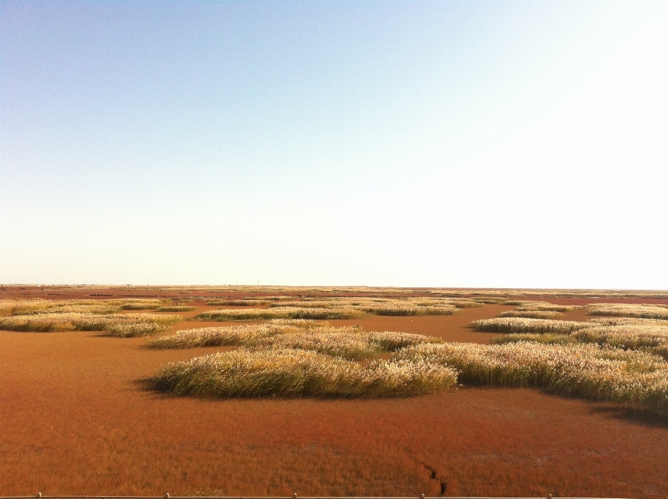 пляж пейзаж море горизонт