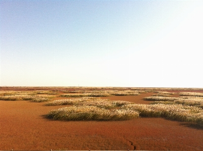 Beach landscape sea horizon Photo