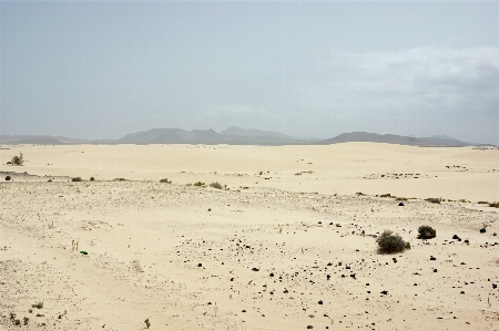 Foto Paisagem mar areia árido
