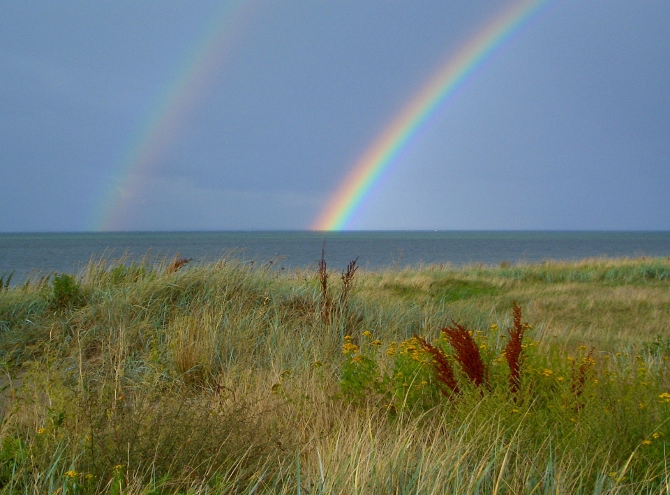 Paysage mer eau nature