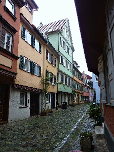 建筑学 路 街道 房子 照片