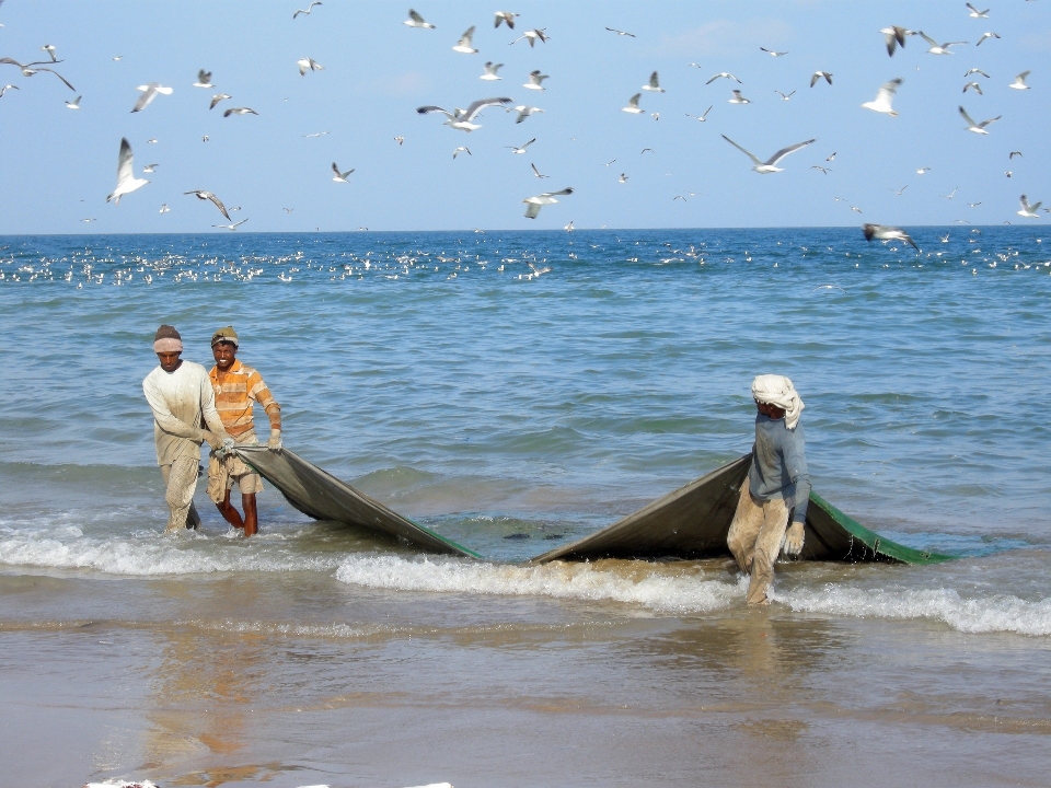 Plaża morze wybrzeże ocean