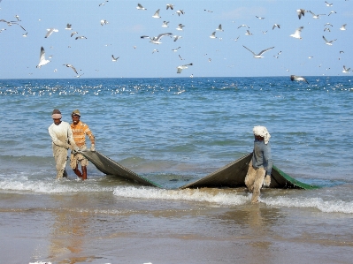 Beach sea coast ocean Photo