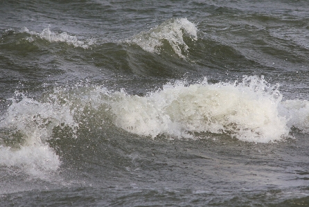 Beach sea coast water Photo