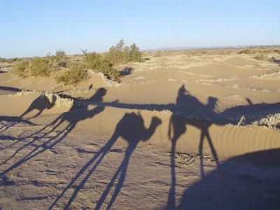 Landscape nature sand wilderness Photo