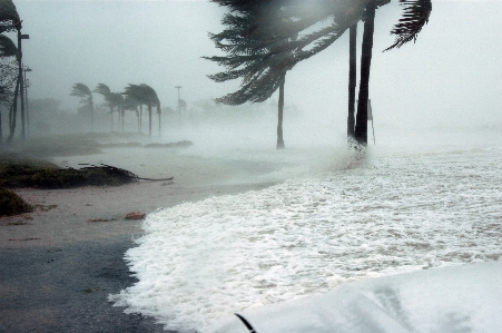 Beach sea water ocean Photo