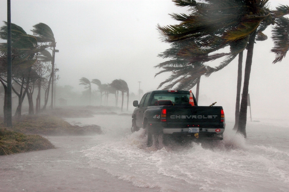 Mare acqua oceano nevicare