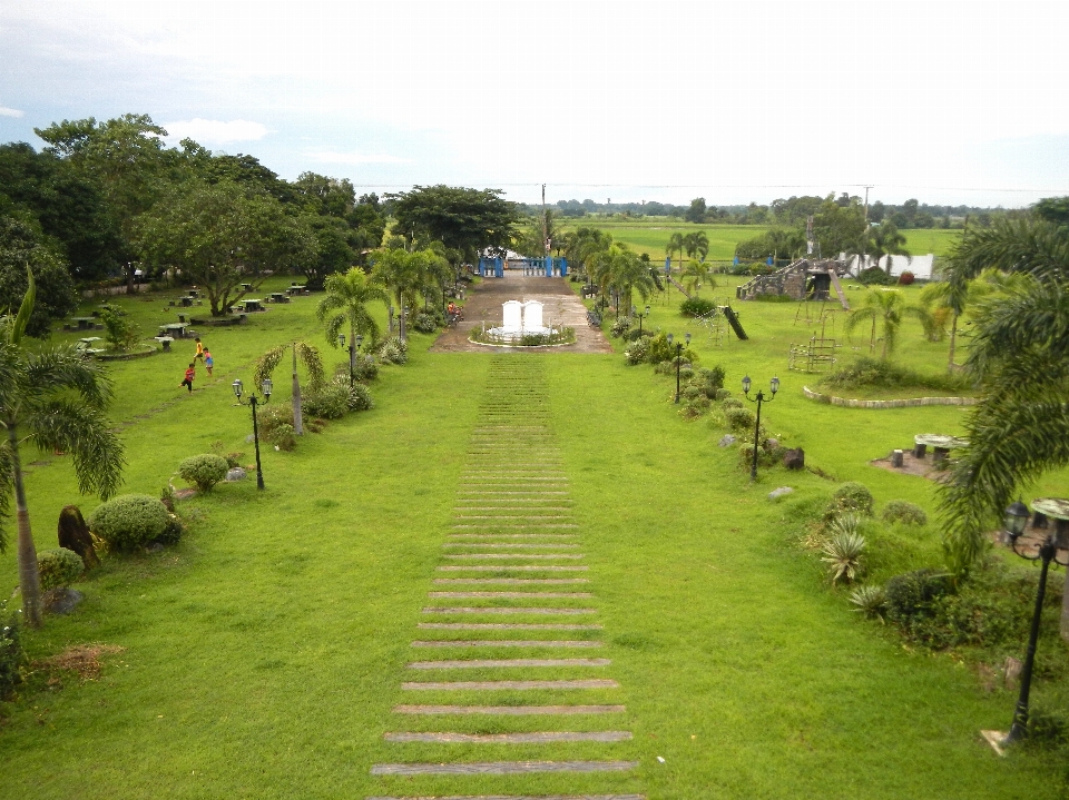 Paisagem natureza grama pessoas