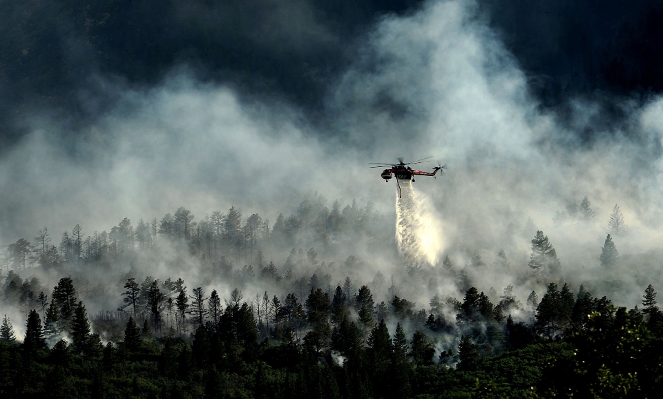 Alam hutan awan langit