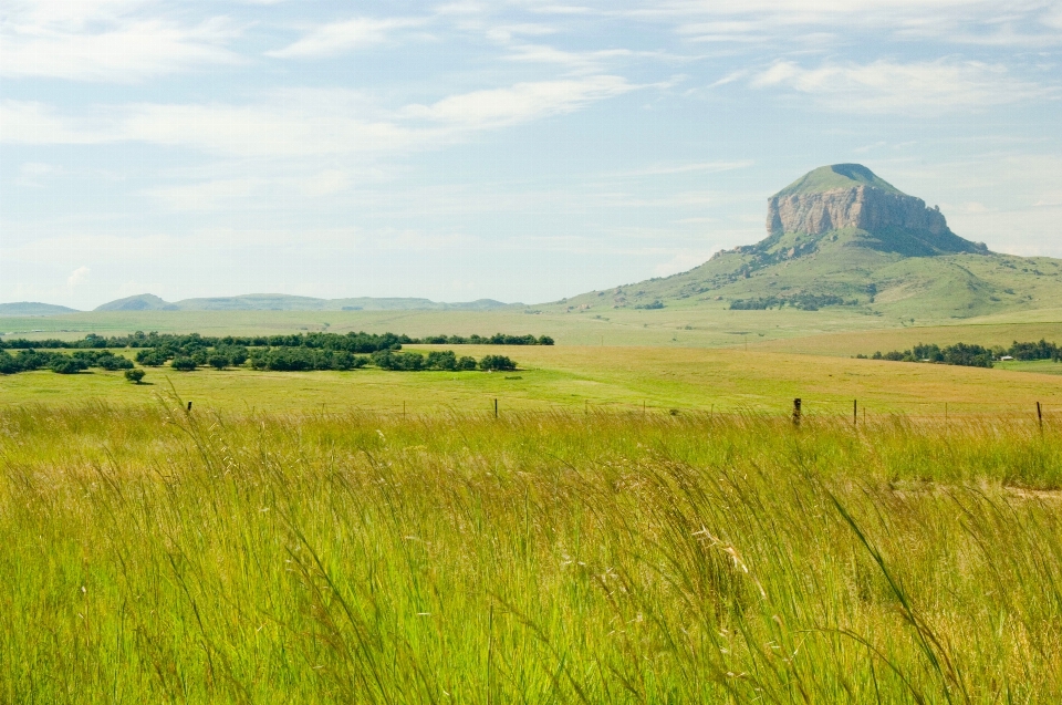 Landscape nature grass horizon