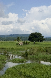 Landscape water nature forest Photo