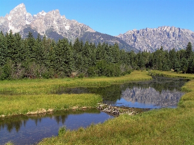 Landscape water nature forest Photo