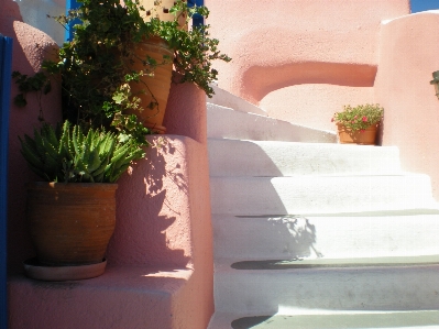 Wood stair house flower Photo