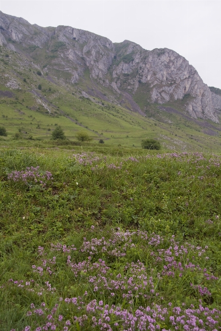 Landschaft natur rock wildnis
